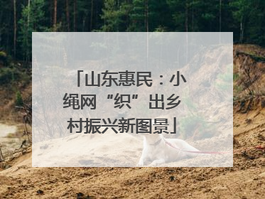 山东惠民：小绳网“织”出乡村振兴新图景