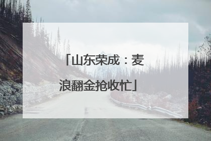 山东荣成：麦浪翻金抢收忙