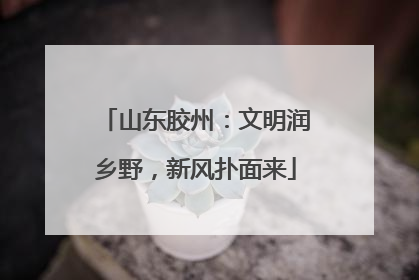山东胶州：文明润乡野，新风扑面来