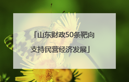 山东财政50条靶向支持民营经济发展