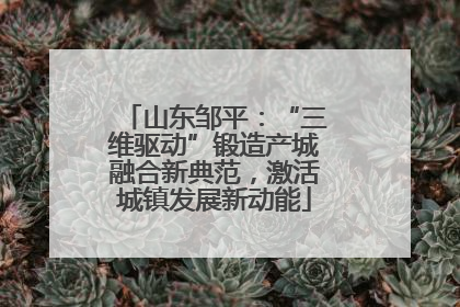 山东邹平：“三维驱动”锻造产城融合新典范，激活城镇发展新动能