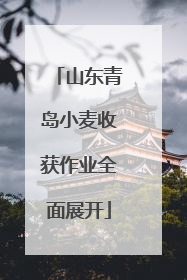 山东青岛小麦收获作业全面展开