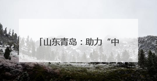 山东青岛：助力“中国制造”走出国门