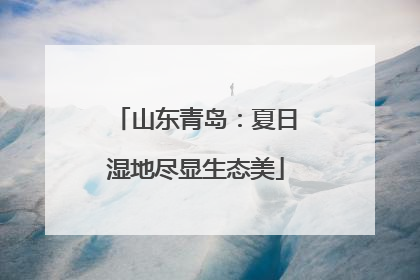 山东青岛：夏日湿地尽显生态美