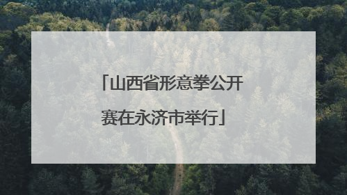 山西省形意拳公开赛在永济市举行