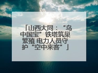山西大同：“鸟中国宝”铁塔筑巢繁殖 电力人员守护“空中来客”