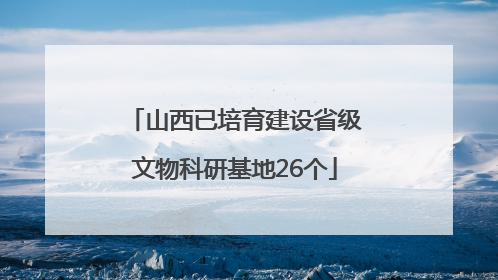 山西已培育建设省级文物科研基地26个