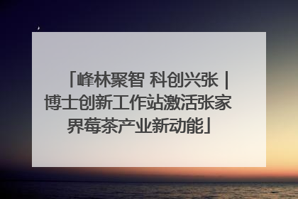 峰林聚智 科创兴张｜博士创新工作站激活张家界莓茶产业新动能