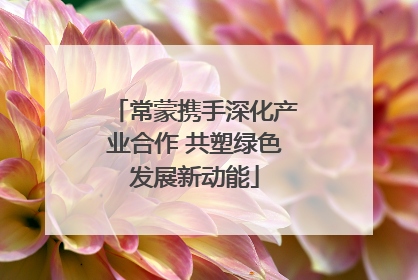 常蒙携手深化产业合作 共塑绿色发展新动能