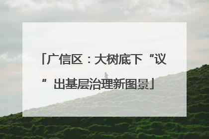 广信区：大树底下“议”出基层治理新图景