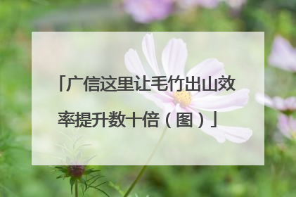 广信这里让毛竹出山效率提升数十倍（图）