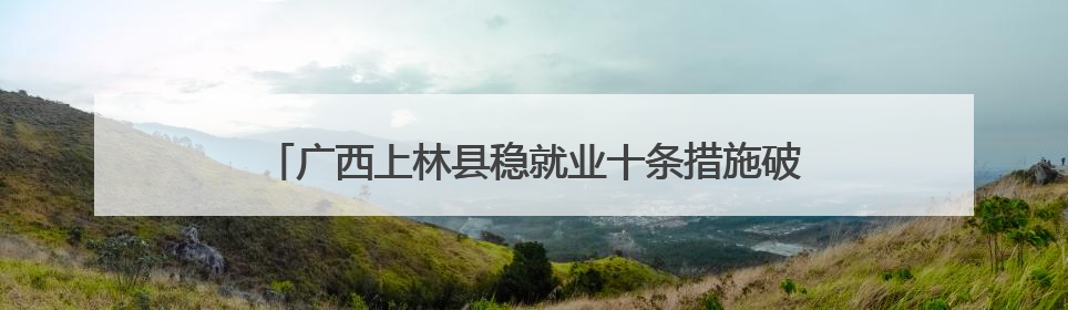 广西上林县稳就业十条措施破解“招工难”和“就业难”