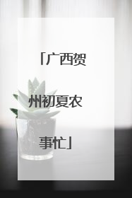广西贺州初夏农事忙