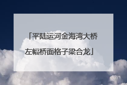平陆运河金海湾大桥左幅桥面格子梁合龙