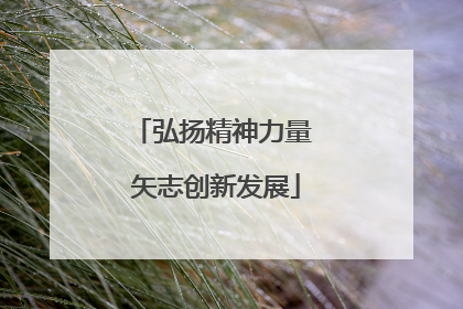 弘扬精神力量 矢志创新发展