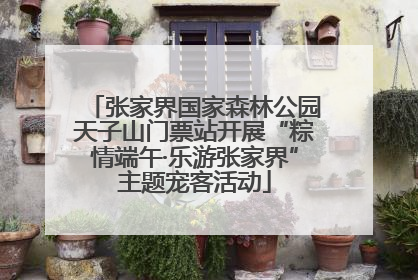 张家界国家森林公园天子山门票站开展“粽情端午·乐游张家界”主题宠客活动
