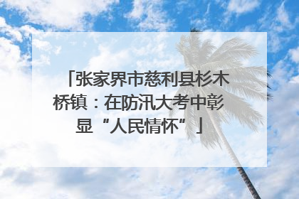 张家界市慈利县杉木桥镇：在防汛大考中彰显“人民情怀”
