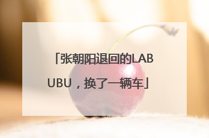 张朝阳退回的LABUBU，换了一辆车