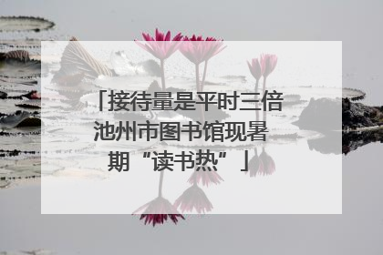 接待量是平时三倍 池州市图书馆现暑期“读书热”