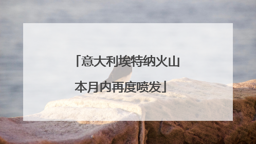 意大利埃特纳火山本月内再度喷发