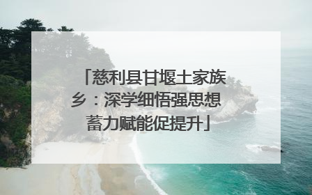 慈利县甘堰土家族乡：深学细悟强思想 蓄力赋能促提升