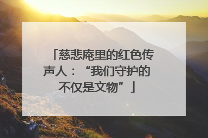 慈悲庵里的红色传声人：“我们守护的不仅是文物”