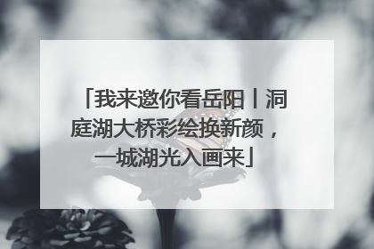我来邀你看岳阳丨洞庭湖大桥彩绘换新颜，一城湖光入画来