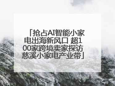 抢占AI智能小家电出海新风口 超100家跨境卖家探访慈溪小家电产业带