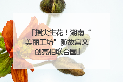 指尖生花！湖南“美丽工坊”随故宫文创亮相联合国