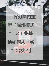 挥刃向内重塑“温州模式” 老工业基地如何从“新”出发？
