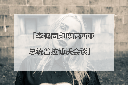 李强同印度尼西亚总统普拉博沃会谈
