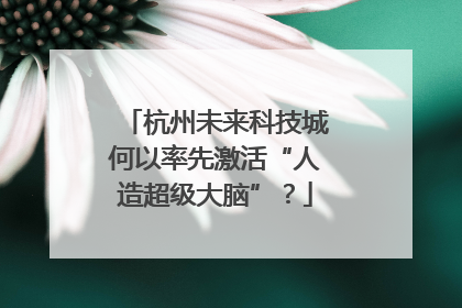 杭州未来科技城何以率先激活“人造超级大脑”？