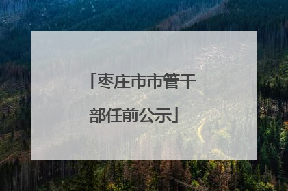 枣庄市市管干部任前公示