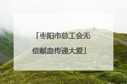 枣阳市总工会无偿献血传递大爱