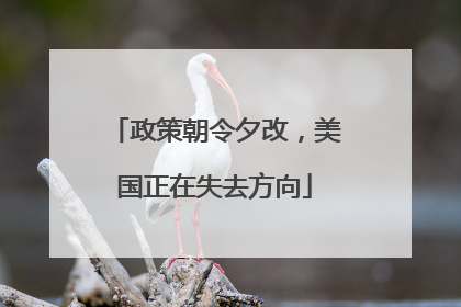 政策朝令夕改，美国正在失去方向