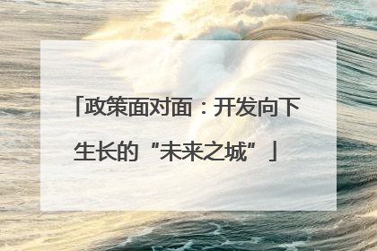 政策面对面：开发向下生长的“未来之城”