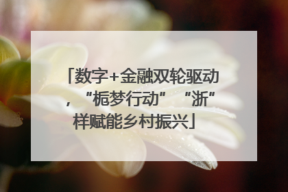 数字+金融双轮驱动，“栀梦行动”“浙”样赋能乡村振兴