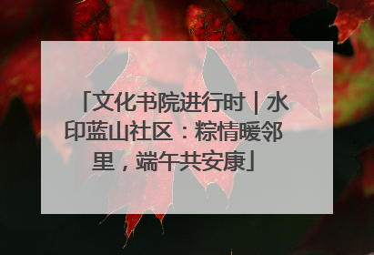 文化书院进行时｜水印蓝山社区：粽情暖邻里，端午共安康