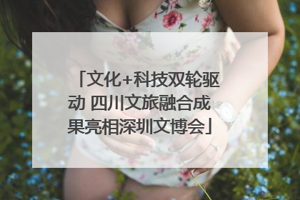 文化+科技双轮驱动 四川文旅融合成果亮相深圳文博会