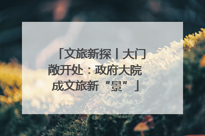 文旅新探丨大门敞开处：政府大院成文旅新“景”