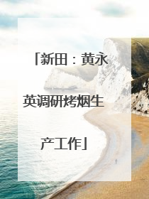 新田：黄永英调研烤烟生产工作