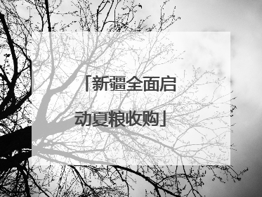 新疆全面启动夏粮收购