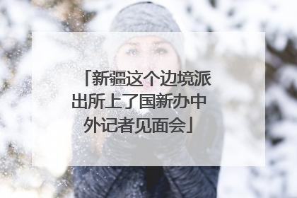 新疆这个边境派出所上了国新办中外记者见面会