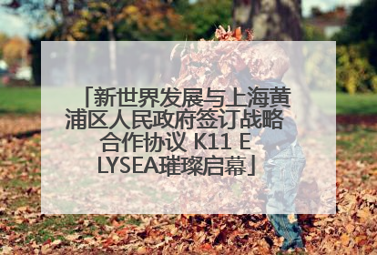 新世界发展与上海黄浦区人民政府签订战略合作协议 K11 ELYSEA璀璨启幕