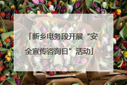 新乡电务段开展“安全宣传咨询日”活动