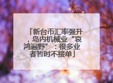 新台币汇率强升，岛内机械业“哀鸿遍野”：很多业者暂时不接单
