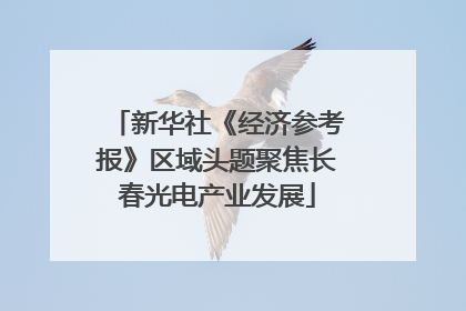 新华社《经济参考报》区域头题聚焦长春光电产业发展