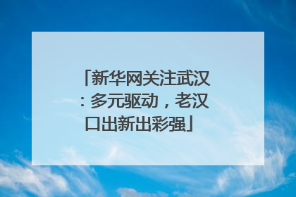 新华网关注武汉：多元驱动，老汉口出新出彩强