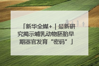 新华全媒+｜最新研究揭示哺乳动物胚胎早期器官发育“密码”
