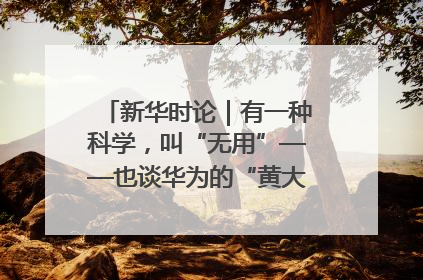 新华时论｜有一种科学，叫“无用”——也谈华为的“黄大年茶思屋”